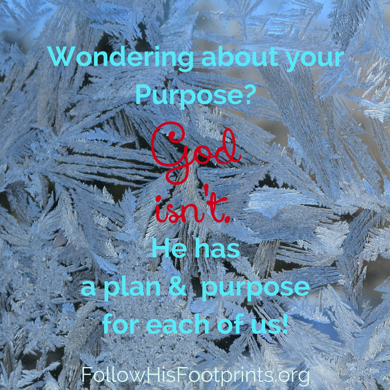 the pursuit of purpose